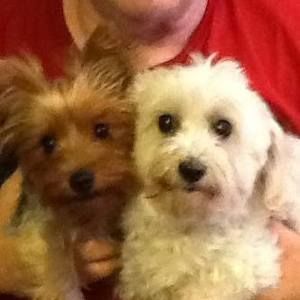 Meet your Posher, Nancy jim